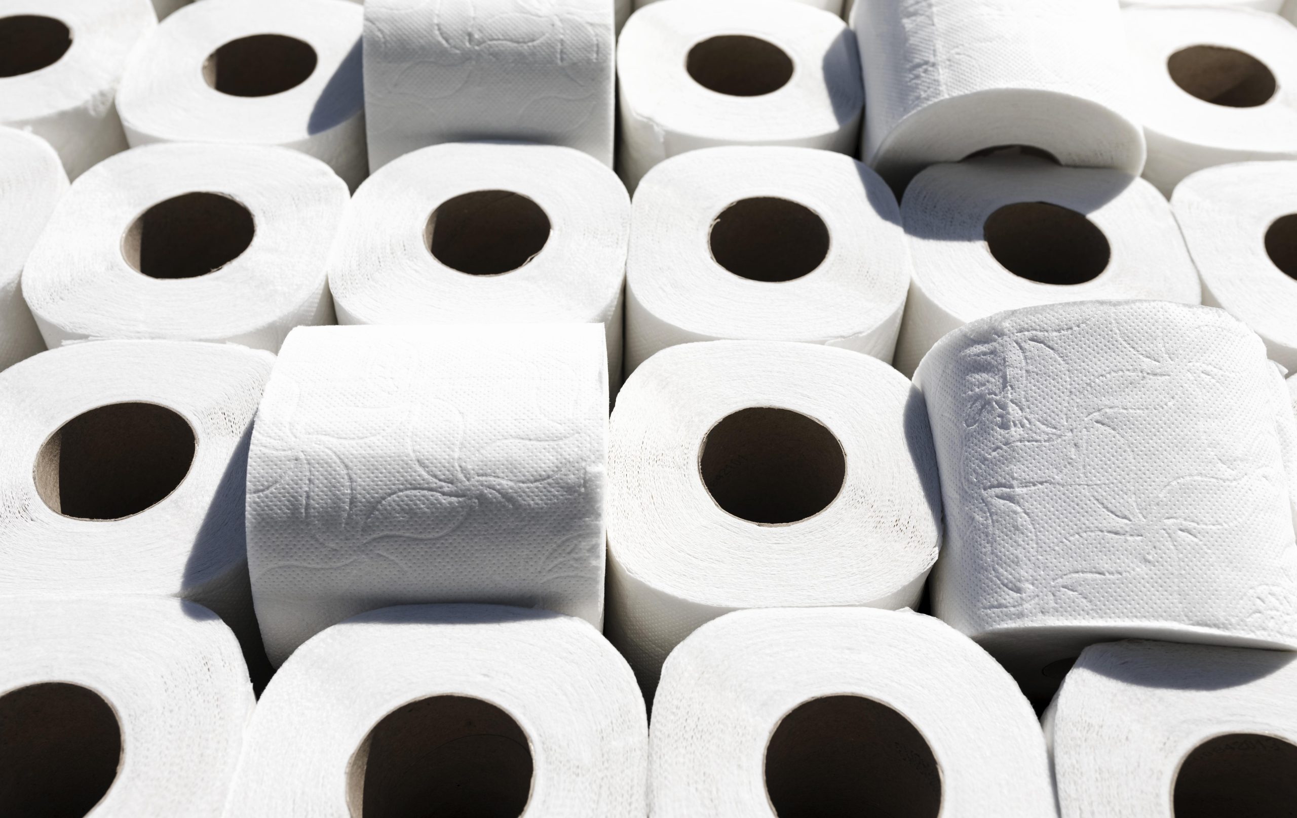 high-angle-toilet-paper-rolls